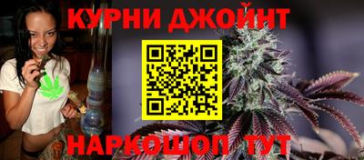 эйфоретик Малгобек