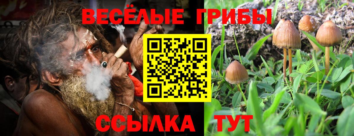 Хасавюрт  Галлюциногенные грибы Magic Shrooms  Вход с VPN 